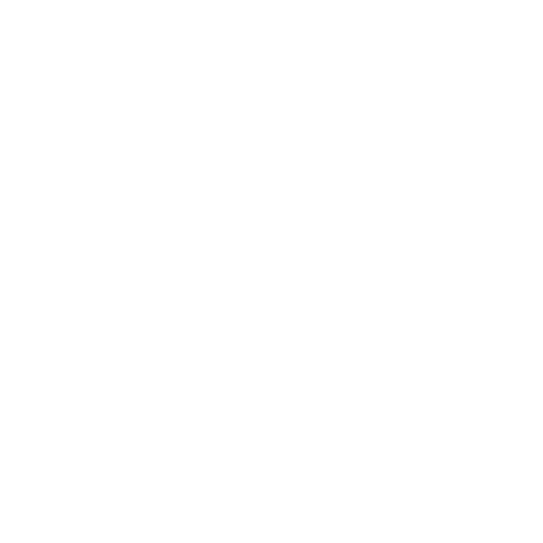 FLOOR MATS